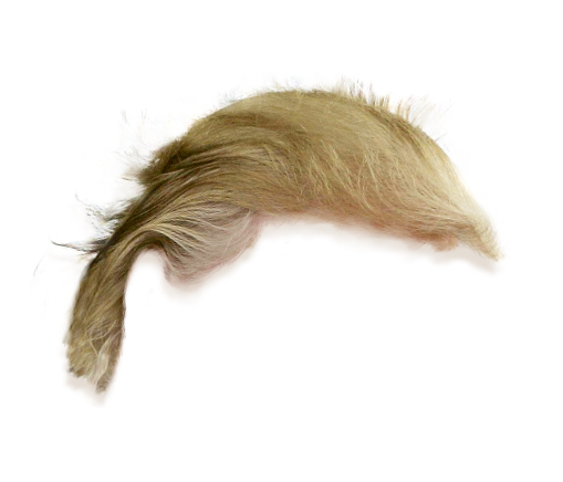 Trump's Hair